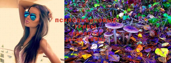 марки lsd Алзамай