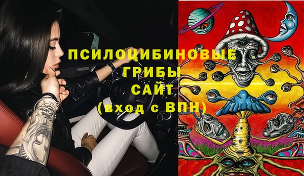 экстази Алексин