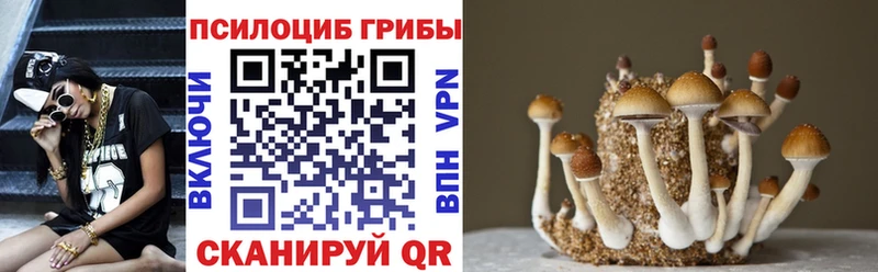 это как зайти продажа наркотиков Первоуральск Псилоцибиновые грибы Psilocybine cubensis